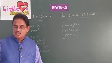 CLASS 5  LESSON 5 EVS THE WORLD OF PLANTS  ONLINE VIDEO