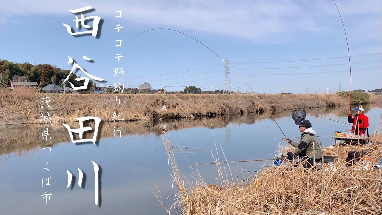 Crucian carp fishing at the quintessential wild fishing spot