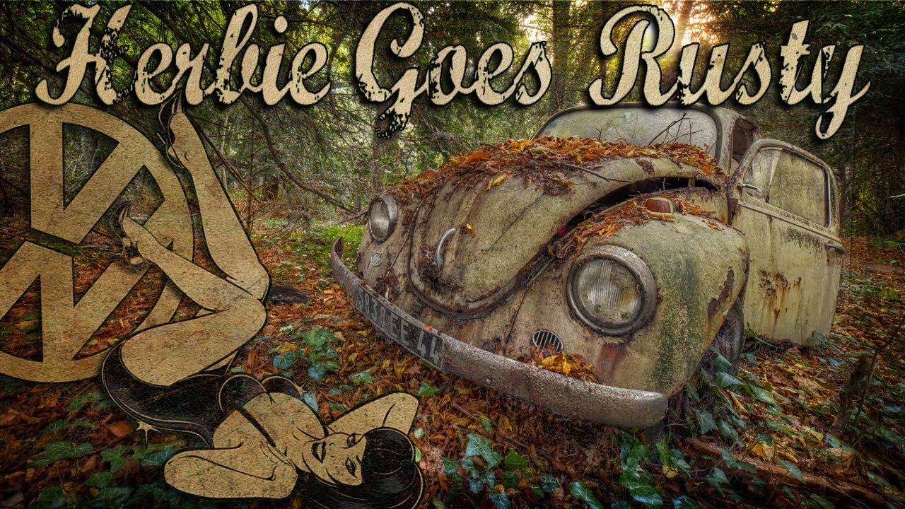 Chasseurs d'épaves - Volkswagen / Austin / Renault / Saviem - Herbie Goes Rusty / URBEX MOOD 2017
