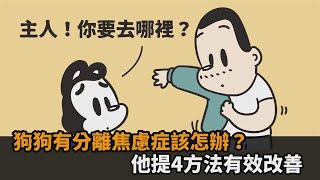 狗狗有分離焦慮症怎麼辦他提供4方法改善　出門回家忽略牠超重要民視新聞