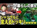 【ブチギレ】インテリア好きの兄の部屋を観葉植物まみれにしてジャングルにした結果wwwwwwww