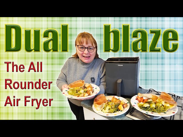 Cosori Dual Blaze Air Fryer Does It Again - Budget Meal 