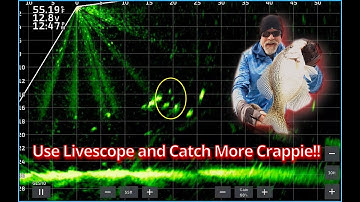 Livescope crappie and jigs!