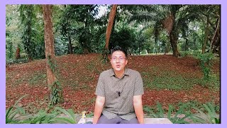 Hamil Setelah Keguguran Belum Ada Janin | dr Erfenes Ho SpOG