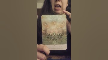 The Action Steps to Take #tarot #tarotreader #oraclereading #oracle #shorts #dailyenergyreading