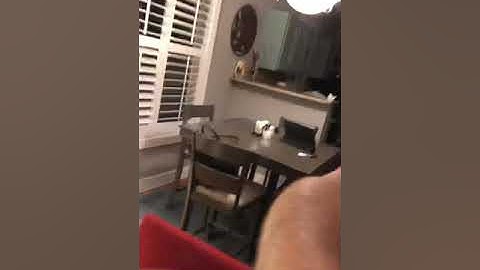 Module 1 Assignment 1: Introductory Speech