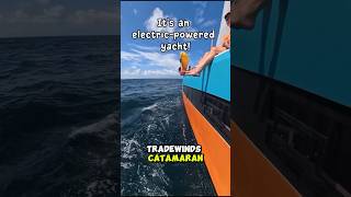 Sailing with TradeWinds in Antigua on the Worlds Most Sustainable Yacht
