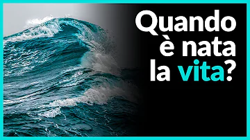 Dove si trova il brodo primordiale?