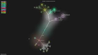 lightbend/config - Gource visualisation Net Worth
