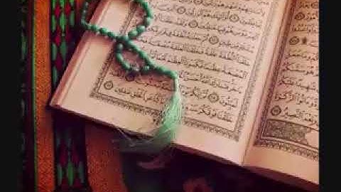 #كل_يوم_سورة #Everydaysurah #Quranسورة  سورة يوسف - وديع اليمني