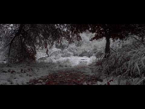 Two Moon/Snow | GH5 + SIgma 18-35 F1.8 | 4K