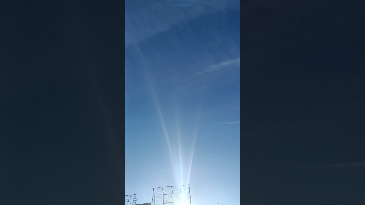 Gołębie Sławka Łowicz 💪😀🤚. Dziś piękna pogoda ładnie smarowały z Łukaszem Nowickim. Piąty stycznia.