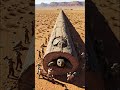 Rescue animal from large log #animals #funny #short #shorts #animales #animals