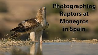 Bird Photography in Spain with the OM1 and 150400mm lens