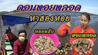 EP.38 หาหอยตลับ หอยหลอด ที่ดอนหอยหลอด