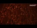 Universe of Existence, Universe of Perception: teamLab Biovortex Kyoto Opening on October 7, 2025...