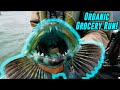 Pacific OCEAN Black Bass & Ling Cod Fishing BEATDOWN!