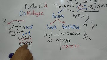 Practical 2 (Transport) First year Dr Mohamed Fayez