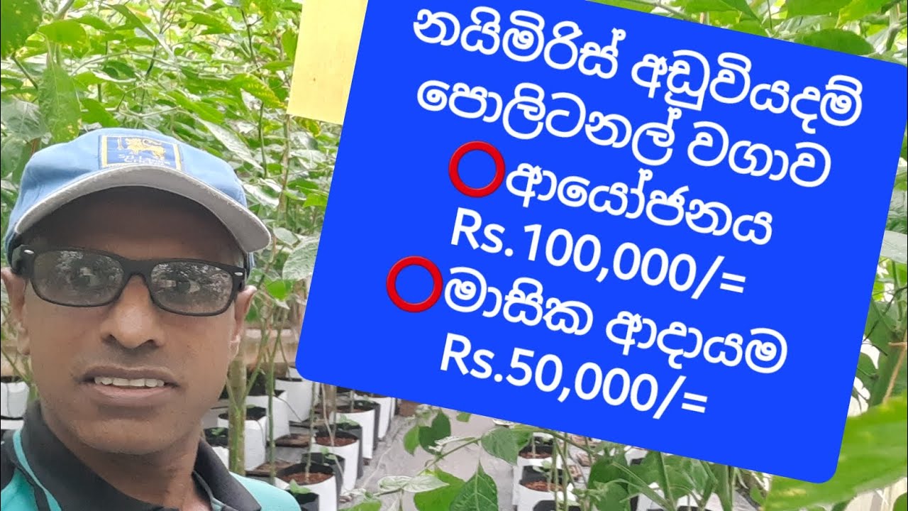 අඩුවියදම් පොලිටනල් නයිමිරිස් වගාවක සාර්ථකත්වයේ අත්දැකීම් හුවමාරුවක්; දැනුම රැගෙන ඔබත් වගා කර දිනන්න