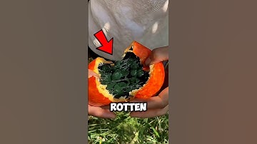 Y’all Won’t Believe What This Fruit Turns Into 😁