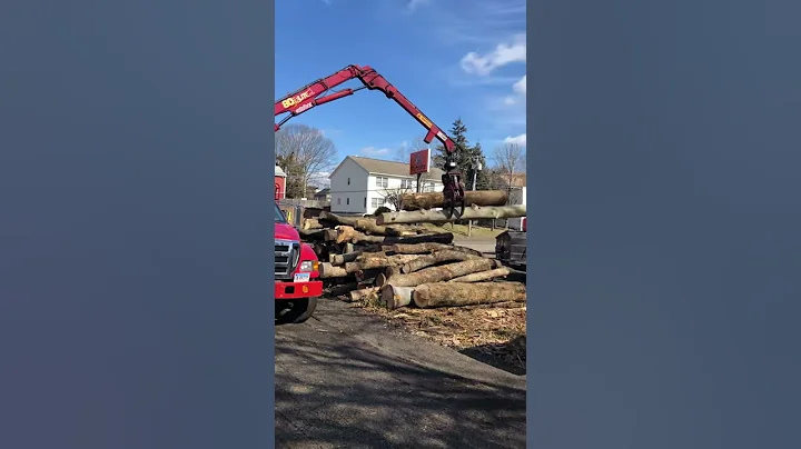 Loading a Log for Anthony Heinz May's Installation...