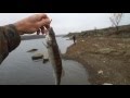 Рыбалка на Сникерсы