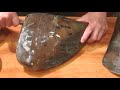 《タイラギ貝（ Fan-shell）の捌きと 刺身》・・・・大和の 和の料理《刺身》