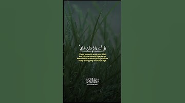 سورة المائدة  #AlQuran   #QuranicTale