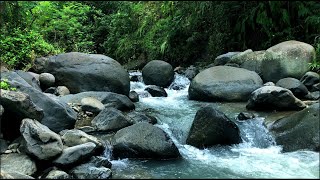 Tranquil Crystal Clear River Ambience | Gentle Water Stream to Recenter and Sleep Peacefully