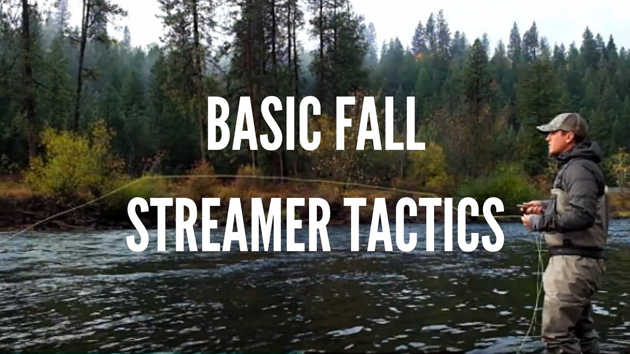 Basic Streamer Fly Fishing Tactics for Trout in the Fall YouTube