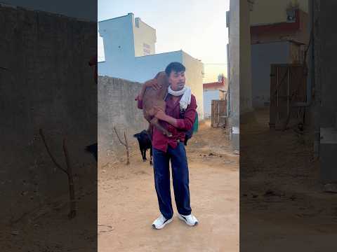 किस्त लेने का तरीका 😂😂 #newमारवाड़ीcomedy #viralvideo
