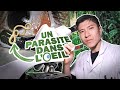 Un parasite dans votre oeil 