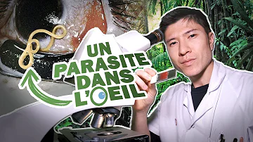 Comment ne pas avoir de parasite