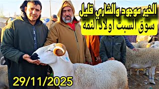 مباشرة من سوق السبت أولاد النمة الخروف الكسابي والحولي والحولية والنعجة تاريخ 29/11/2025🐑🐑