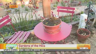 Garden of the Hills