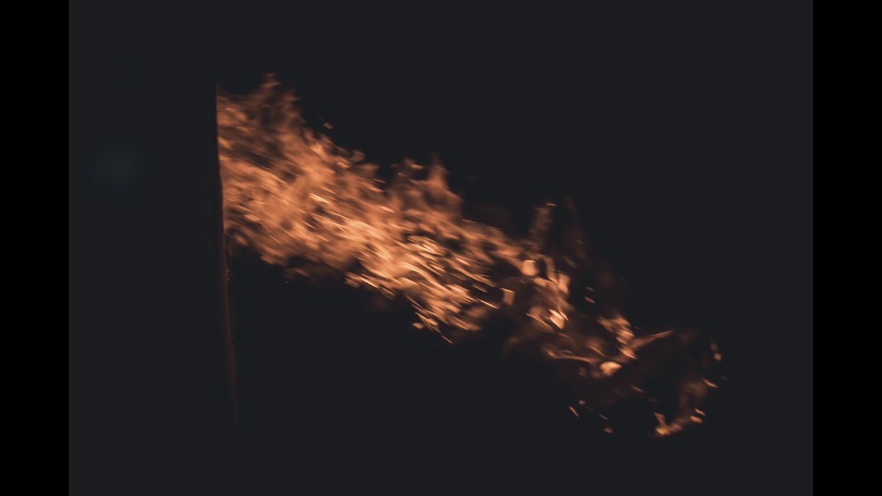 Утилизация биологических отходов, правила утилизации биологических ...