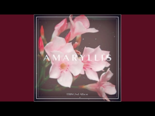 Angel's Dream - YouTube