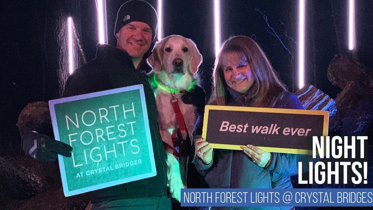 North Forest Lights 2020 Crystal Bridges Museum Of American Art Bentonville Ar Ep 47 Youtube