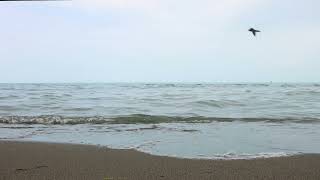 Waves Sea Ocean - Video Template