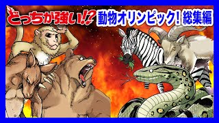 【どっちが強い総集編】動物たちの熱き戦い!格闘技!陸上!水泳!野球!もしも動物だけでオリンピックを開催したらどうなる!?【漫画】【オリンピック】