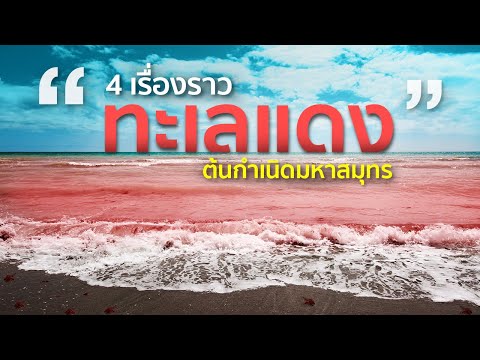 4 เรื่องราวทะเลแดงต้นกำเนิดมหาสมุทร