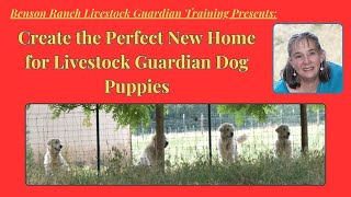 Creating the Perfect New Home for Livestock Guardian Puppies by Benson Ranch Livestock Guardian Dog Training 509 views 1 month ago 10 minutes, 56 seconds