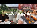 life in singapore | 8-5 corporate life work from home,meal prep,journalling,laundry #wfh #vlog