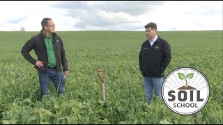 Soil School: Cover crops and cattle with Ken Schaus