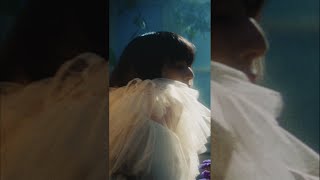 majiko New Digital Single「白い蝉」MV公開、配信中！ #Shorts