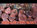 МЕДЬ!..ОБЖИГ..ИТОГ И ВСТРЕЧА С КАМРАДОМ!//COPPER WIRE ROASTING//