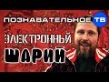 Электронный контроль Шария (Познавательное ТВ, Артём Войтенков)