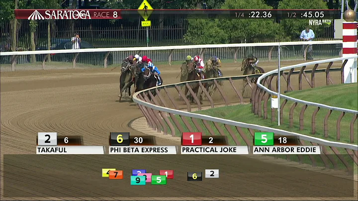 Practical Joke - 2017 H. Allen Jerkens Stakes en E...