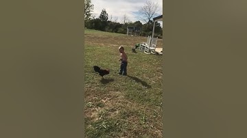 Funny Redneck Fails Funny Fails Compilation!#SmileSpills #Fails #trynottolaugh