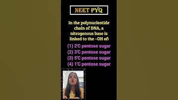 Neet most asked pyq😒 | NEET PYQ Ans End Me hain 💯 #neet2024 #neetshorts #neetpyqs #neet #pyq